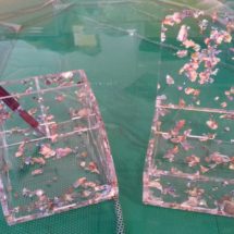 Portapenne e Cofanetto realizzati in TRESPEX Flakes Red