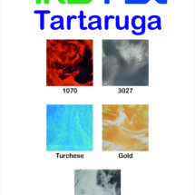 TARTARUGA-min